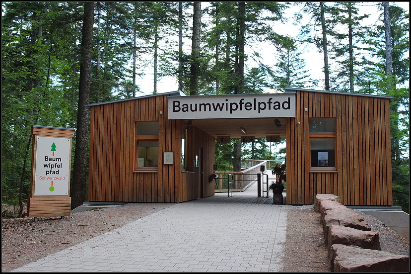 Baumwipfelpfad Schwarzwald