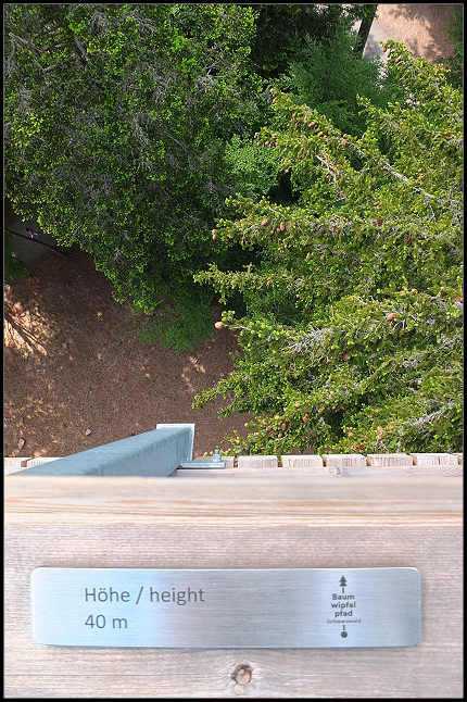 40 Meter hoher Aussichtsturm Baumwipfelpfad Schwarzwald