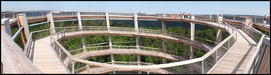 Baumwipfelpfad Schwarzwald