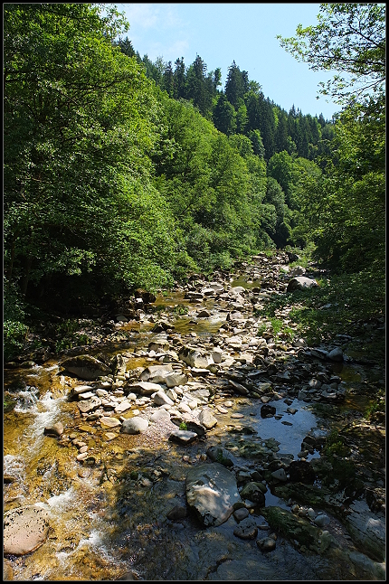 Das Flussbett der Murg
