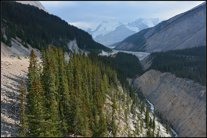 Blick Richtung Athabasca-Gletscher