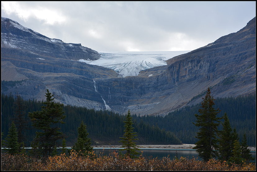 Gletscherzunge am Bow Lake