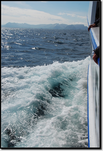 Rückfahrt nach Andenes Rückfahrt nach Andenes
