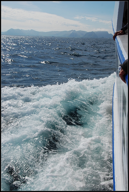 Rückfahrt nach Andenes Rückfahrt nach Andenes