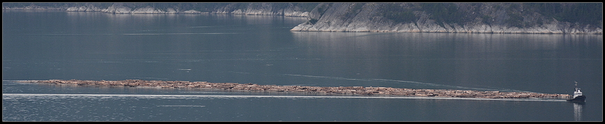 Das kleine Boot schleppt ne Menge Holz