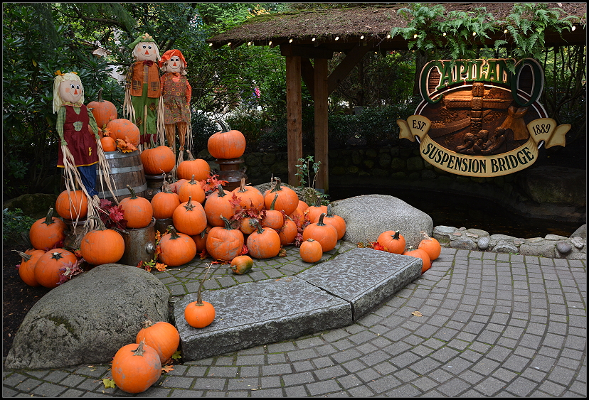 Suspension Bridge Park