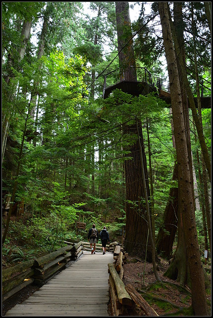 Baumwipfelpfad Baumwipfelpfad