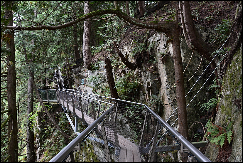 Cliffwalk im Suspension Bridge Park