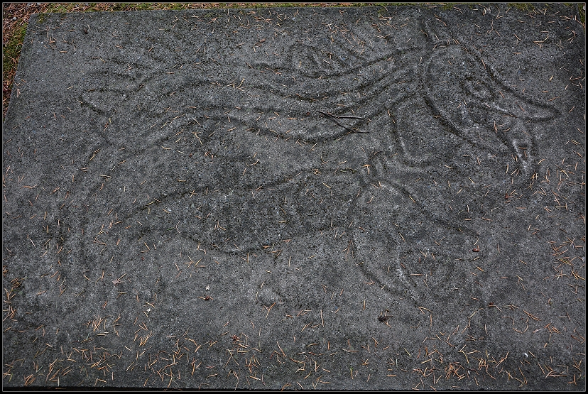 Felsenzeichnung Petroglyph Provincial Park