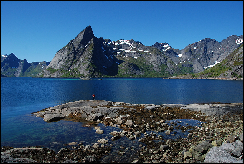 Hamnya Lofoten