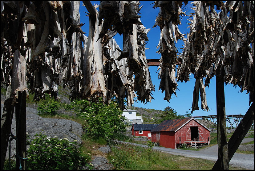 Stockfischmuseum 