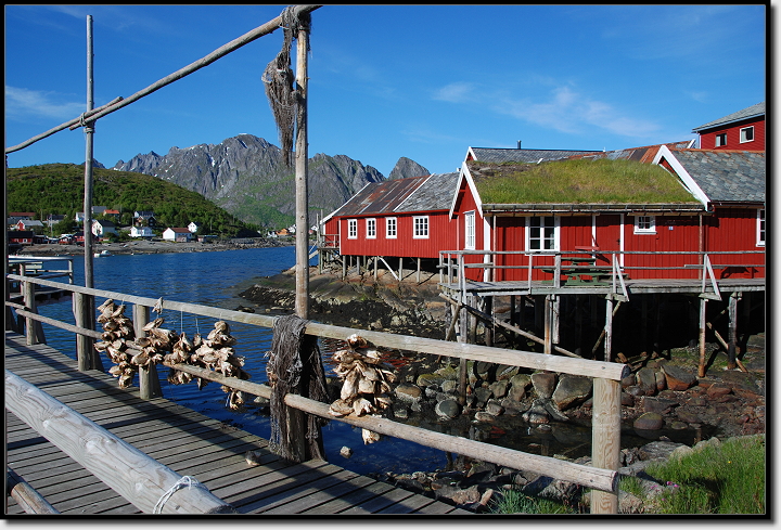 Reine Lofoten