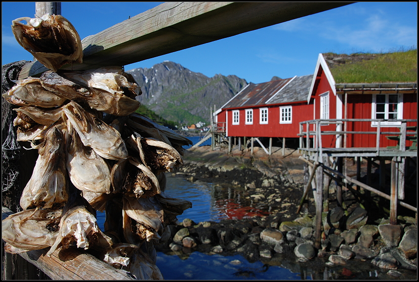 Mein Lieblingsbild von den Lofoten