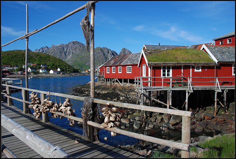 Reine Lofoten Norwegen