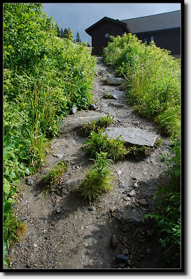 Weg zum Laksfossen Weg zum Laksfossen
