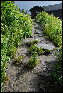 Weg zum Laksfossen Weg zum Laksfossen