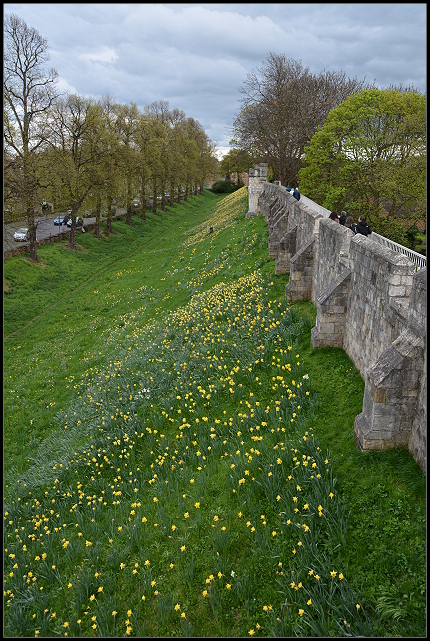 Stadtmauer York