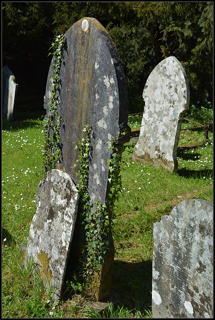 Nevern St Brynach Church Friedhof