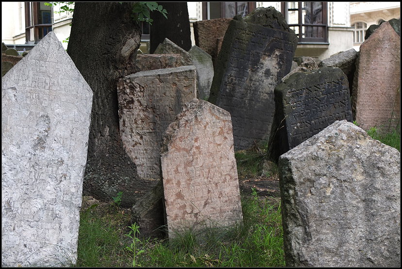 Ein Baum ist um einen Grabstein gewachsen  