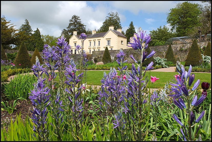 Aberglasney Gardens