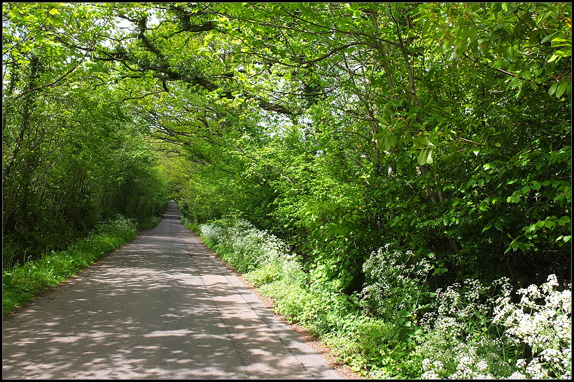 Auf dem Weg zur Church of St Issui