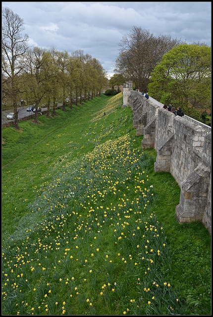Stadtmauer York Stadtmauer York
