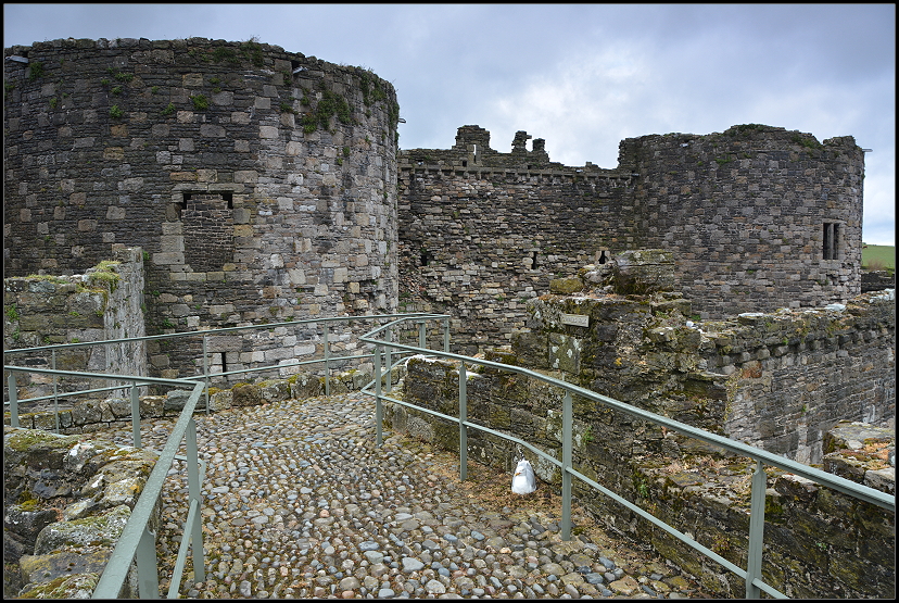 Die M�we hat sich einen tollen Platz zum Br�ten ausgesucht...