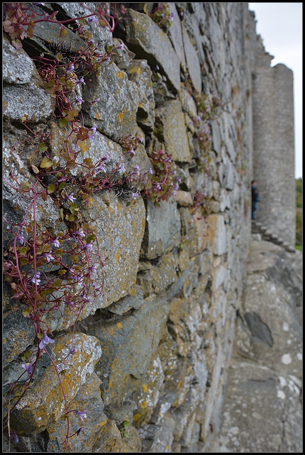 Harlech Castle 